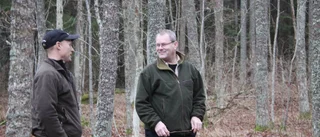 Så ska unga ekar ta över ekopark Omberg