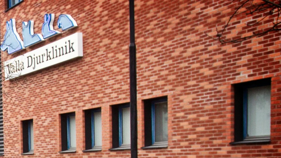 Tjocka hundar
Valla djurklinik
Foto Pia Molin