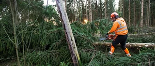 Fortfarande hundra utan el efter Helga