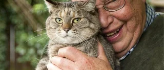 Nils Uddenberg: Gubbe och katt – en kärlekshistoria
