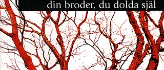 Anders Carlsson - en sångare som vill beröra snarare än underhålla