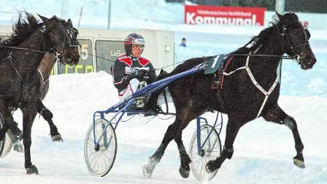 Hästen Chilly Willy och kusken Micael Melander sprang hem det tredje V5-loppet på Bodentravet i går. Men det var ändå hemmatränaren Petri Salmela som hade störst framgång med tre loppsegrar.