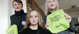 Snart dags för majblommor