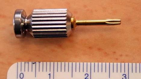 Skruvmejseln som åkte ner i halsen och stämbanden på den 69-årige patienten var 30 millimeter lång.FOTO: Jan Bergsten