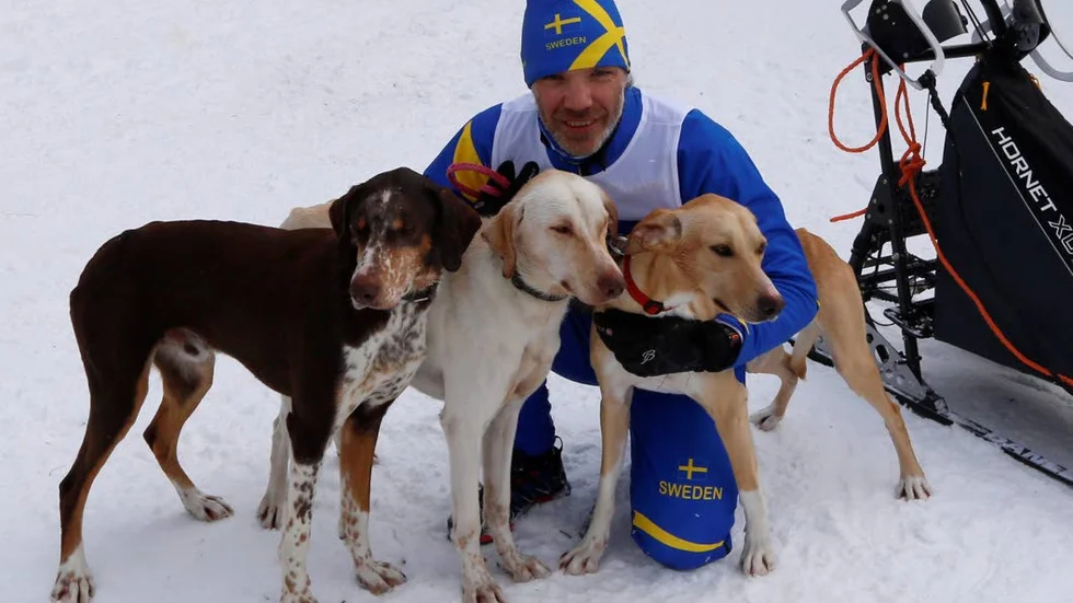 SEGRARNA. Lars Lindh tillsammans med unghundarna Ipton, Isman och Igger.