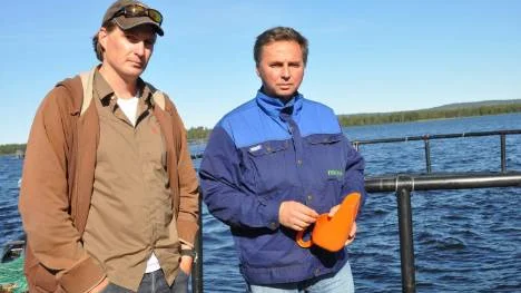 Andreas Broman och Micael Granström konstaterar att stora mängder odlad fisk i det vilda beståndet orsakar problem.FOTO: Lotta Nilsson