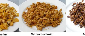 Svampfrågan: Hur får man kantarellerna att hålla färgen?