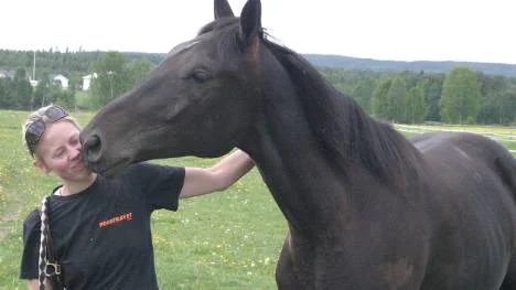 - Kajsa Englund har en stor del Marcus Top Spins framgångar, påpekar tränaren Jesper R Nilsson. Att häst och skötare                       trivs med varandra framgår väl också av bilden.