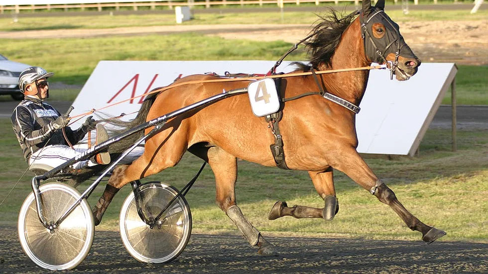 Går för tredje inteckningen. Robert Bergh har vunnit Norrbottens Stora Pris två gånger med Nahar. Blir det vinst nummer 3 på lördag?