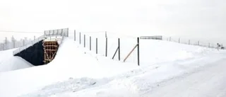 Bron som ska lura renarna