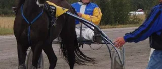 Lyckat bygdetrav i Kalix - tack vare draghjälp från grannkuskarna i öst