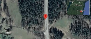 Fallna träd skapar problem i trafiken