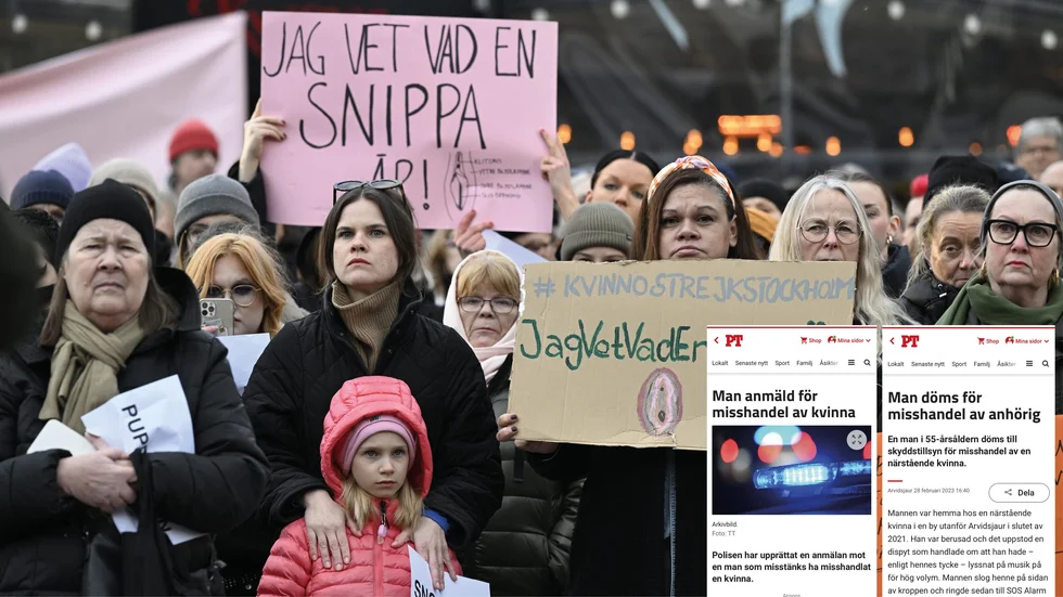Substantivet snippa fick en avgörande betydelse i ett hovrättsfall nyligen. Enstaka ord kan spela stor roll på många sätt, både när det gäller domar, rubriker och när vi pratar med varandra.
