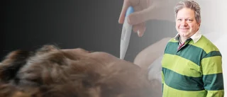 "Hyrpersonal är ett symptom snarare än sjukdomen"
