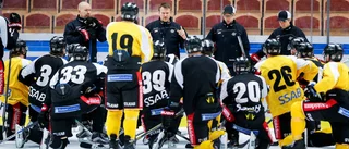 Luleå Hockeys resa: Från botten till toppen
