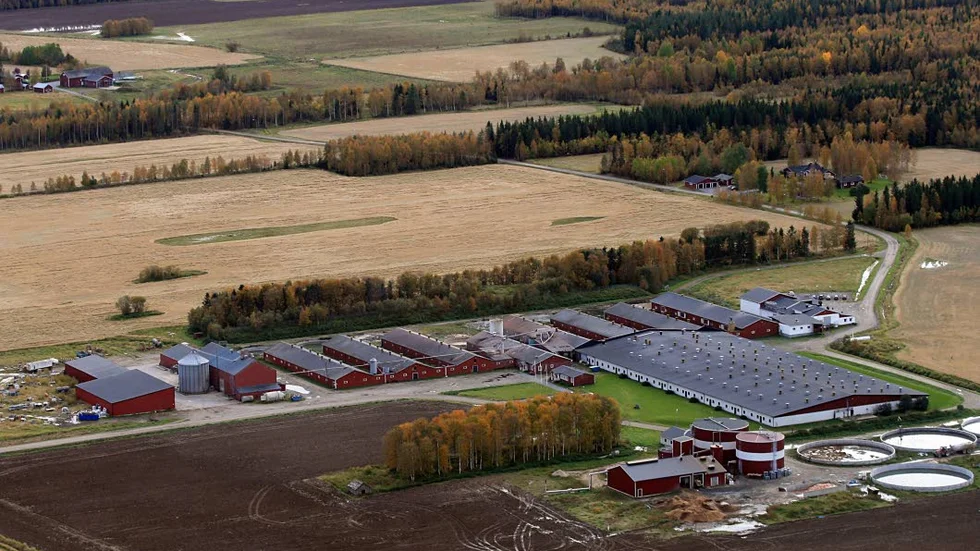 En bedragare satte upp en fejkad hemsida för Alviksgården.