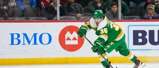 Zuccarellos hattrick gav Minnesota segern
