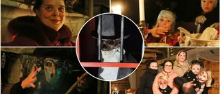 Lena förvandlade gården till ett halloweenparadis: "Folk tycker att det är spännande – det är drivkraften"