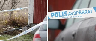 Polisen avslöjar – så gick hundattacken till • Döda kvinnan i 60-årsåldern • Hunden av rasen amstaff: ”Så här agerar inte en frisk hund”