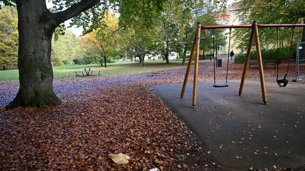 Fem tonåringar i åldern 15 till 18 år döms för grov våldtäkt mot en kvinna i Kungsparken i Malmö i oktober. Arkivbild.
