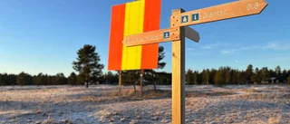 Läsarbilden: Vägval