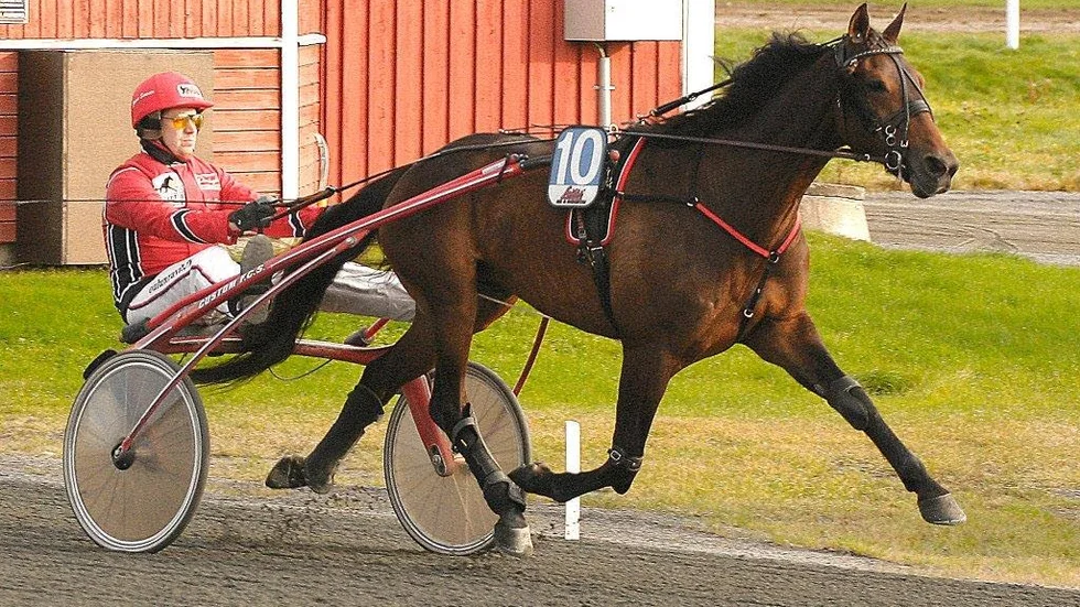 Finlands sak är inte så svår. Caesar de Veluwe vann V5-5. På bilden kör Janne Soronen men igår satt Santtu Raitala i sulkyn