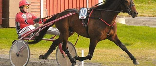 Här är alla lopp från Bodentravet