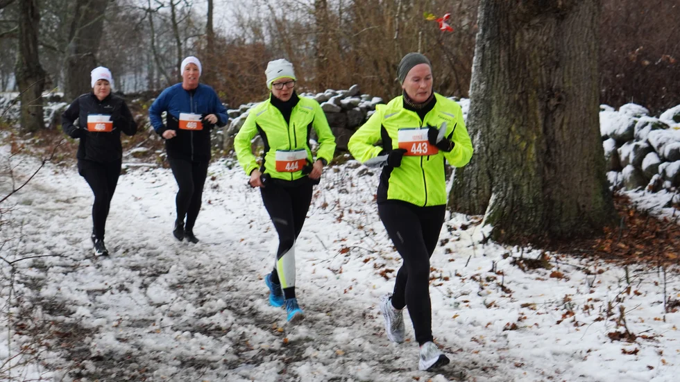Fyra av deltagarna i premiärloppet av Gränsö Trailrun var  Helen Karlsson, Anneli Hjelm, Eva Campe och Åsa Palm.
