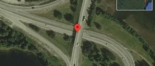 Älg på vägen på E4