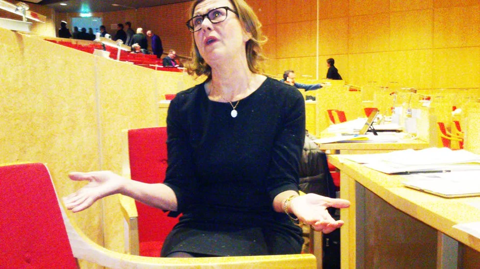RIVSTART. Anna-Stina Nordmark-Nilsson sågade den styrande majoritetens finansplan vid sitt första landstingsfullmäktige som gruppledare för Centern. Hon var landstingsdirektör i början av 2000-talet och genomförde ett tufft sparpaket som bland annat innebar att BB lades ned på tre av länets sjukhus.