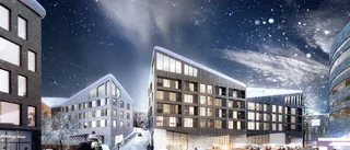 Trappa på sommaren - skidbacke på vintern