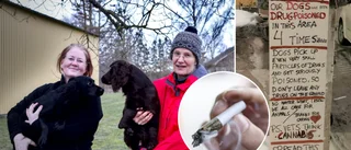 Anna Karins hundar förgiftade på Länna • Hade cannabis i blodet • Fått åka in akut vid fyra tillfällen • ”Orolig och ledsen”