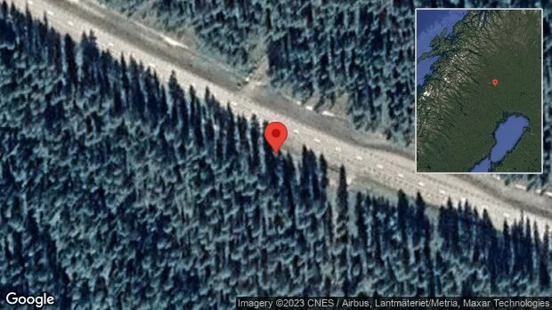 Renar på vägen på E10
