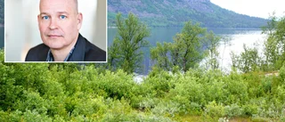 Brottsforskare: "Jätteovanligt med dödligt våld mot barn"