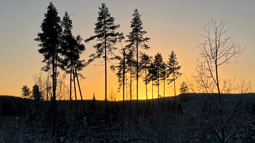 Dagens läsarbild.
