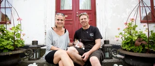 Följde upp SM-segern: Bästa lammgård på Gotland