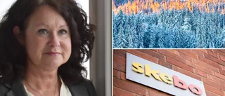 Från hundra kronor till fyra miljoner – ödetomten har köpts och sålts 21 gånger på kort tid • Skebo en av köparna • Här är deras förklaring