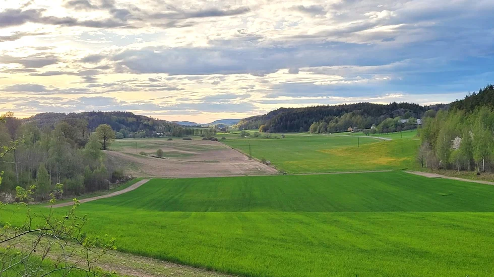 Uknadalen är ingen lämplig plats för vindkraft tycker Naturskyddsföreningen i Tjust.