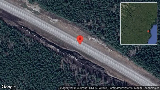 Moose loose on E4 highway