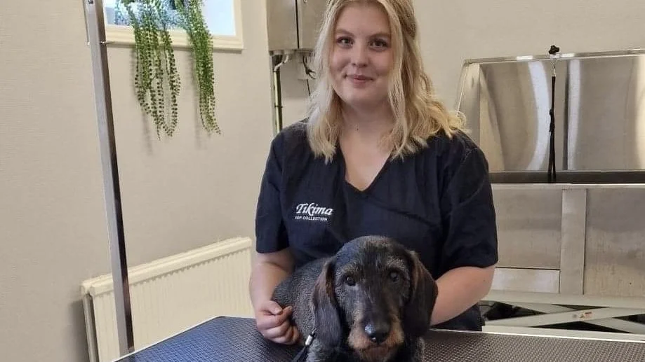 Josefine Turesson driver Gnöttlerums Hundtrim. Här tillsammans med taxen Vegas, som ska trimmas till fulländning.