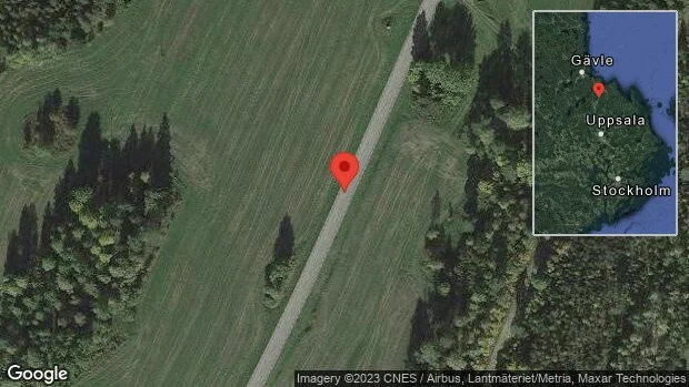 Hundar på vägen på väg 740