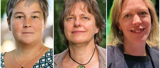 Trålare tömmer Östersjön på sill