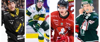 Siffrorna: Så skadedrabbat är Vita Hästen jämfört med andra lag: "Vi har hittat vägar"