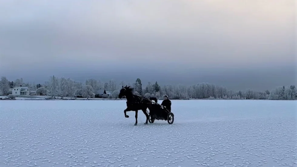 Ola Johansson och hästern Rune Rigas kör sista passet innan torsdagens tävling på Buddbyträskets naturis.
