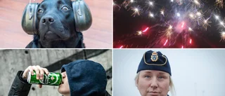 Polisen om nyår: ”Finns roligare saker att lägga pengarna på” • ”Hamnplan är ingen bra plats för familjer”
