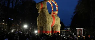 Gävlebocken överlevde julafton