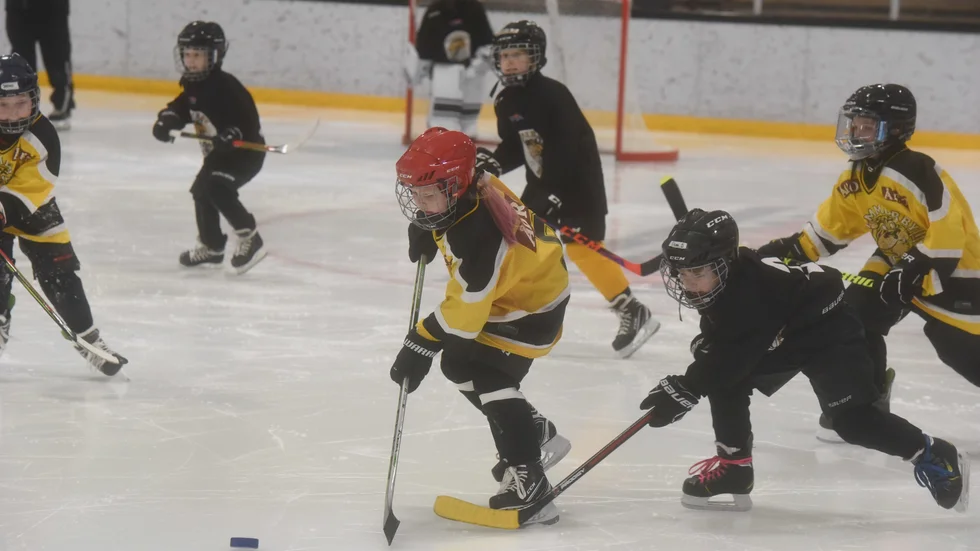 VH-ungdomarna i Tre Kronors Hockeyskola fick visa upp sig i en match i periodpausen när VH mötte Borås i fredags.