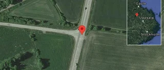 Hjortar på vägen på väg 56