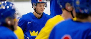 Då kan Nyköpingsborna se framtidens Tre Kronor