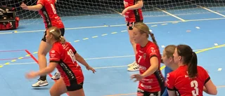 EHF vann mot topplaget Göksten